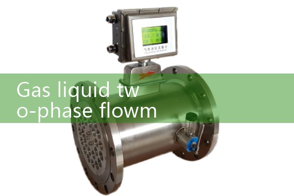 Gas liquid two-phase flowmeter